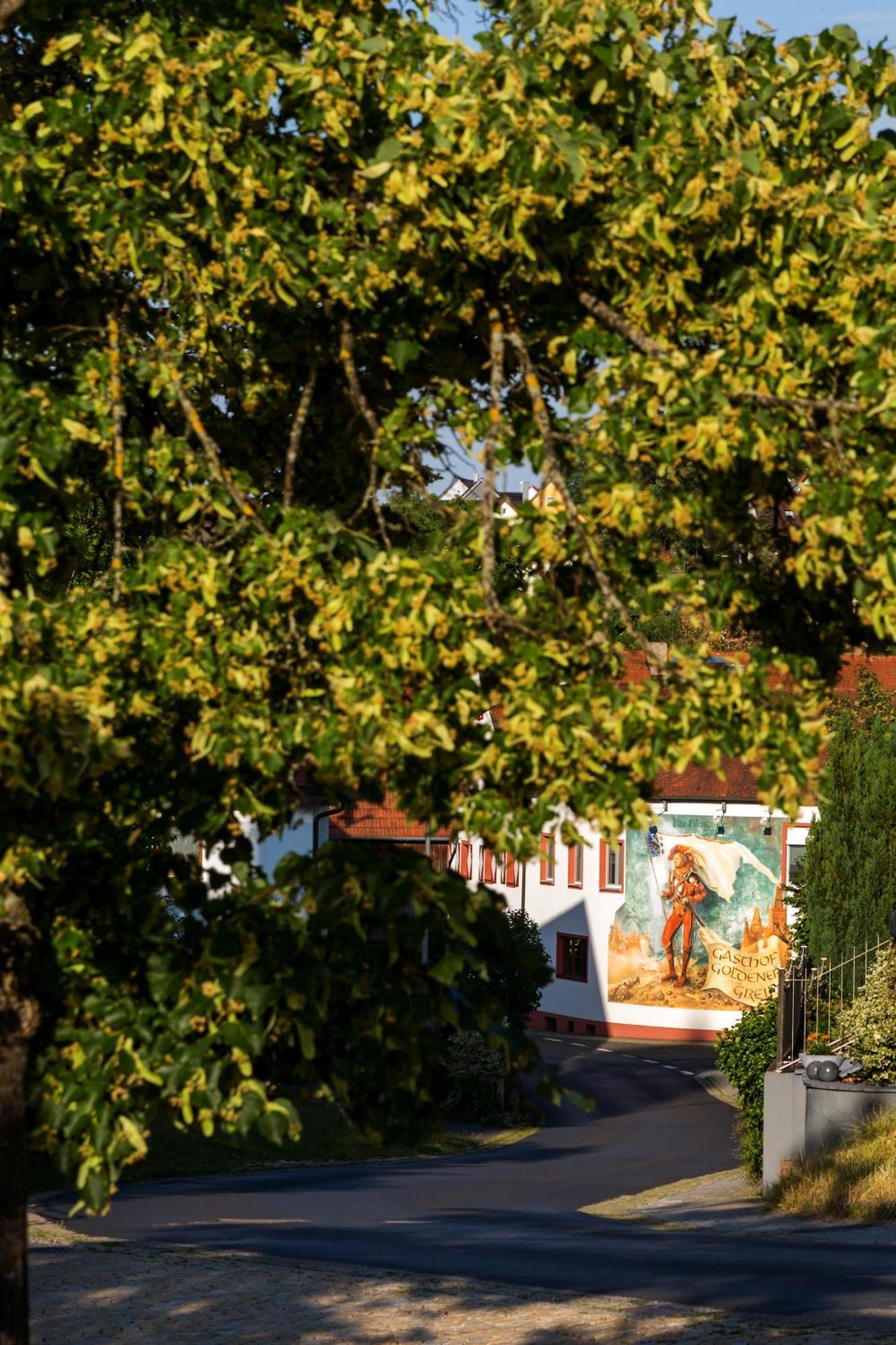 Wirtshaus & Hotel Goldener Greif Edelsfeld 외부 사진
